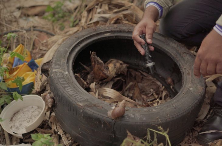 combate-a-dengue_terreno_divulgacao-gov-04-fev-2024-730x480-1