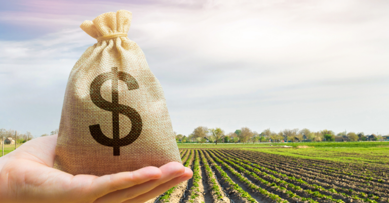 Credito-rural_destaque_PortalDB