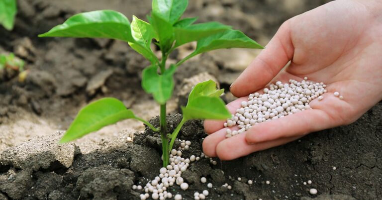 fertilizantes-2