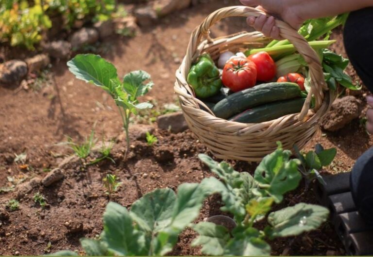 sustentabilidade-agricola-Brasil-Brics