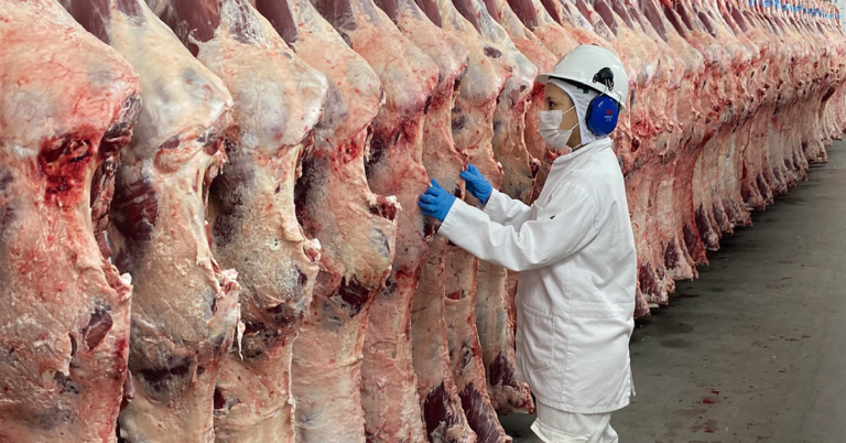 Carcaca-bovina_frigorifico_credito-milena-sato_Destaque-Portal-DBO