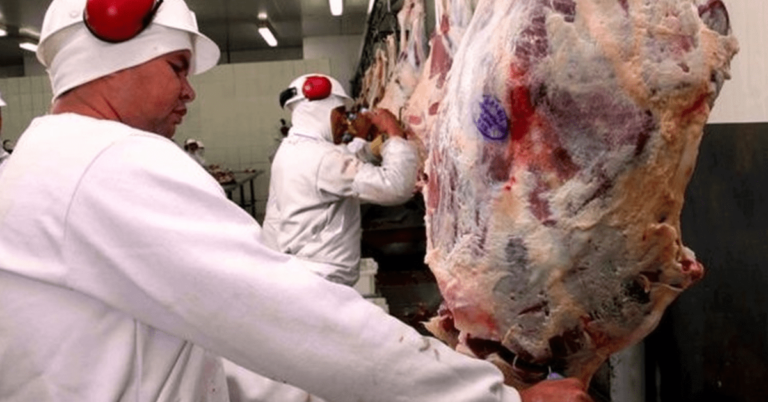 Carne-halal-destaque_PortalDBO