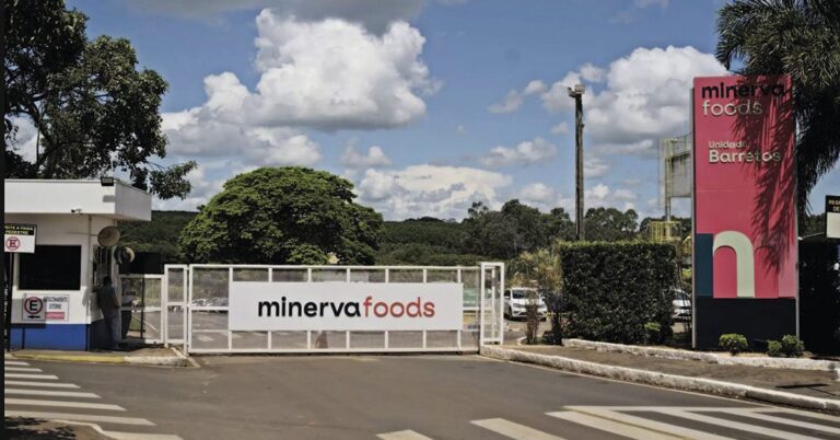 Minerva
