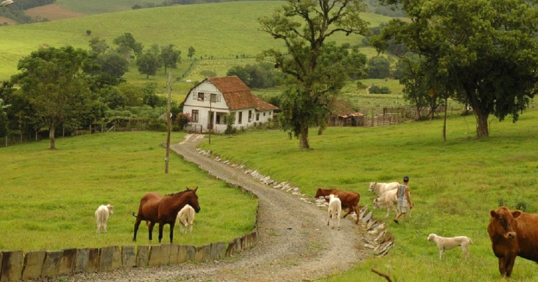 Propriedade-rural_destaque_PortalDB
