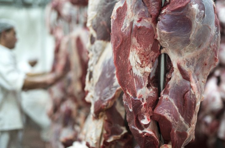 carne-empregos-730x480-1