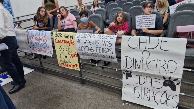 camara-castracao-pets-marco-codignola