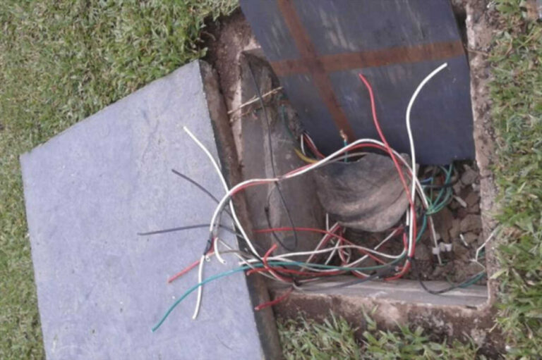 whatsapp-image-2025-11-06-at-084842