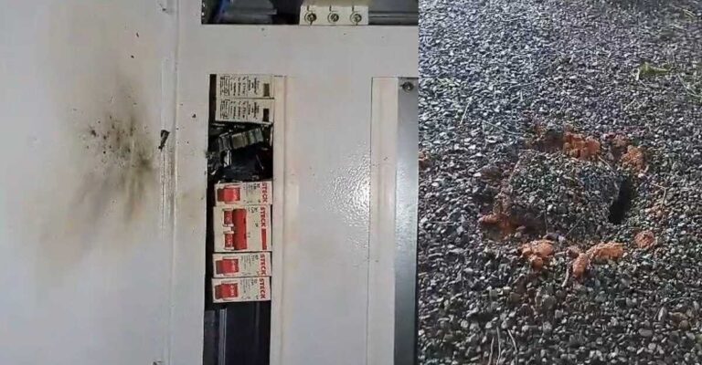 whatsapp-image-2025-11-06-at-092955