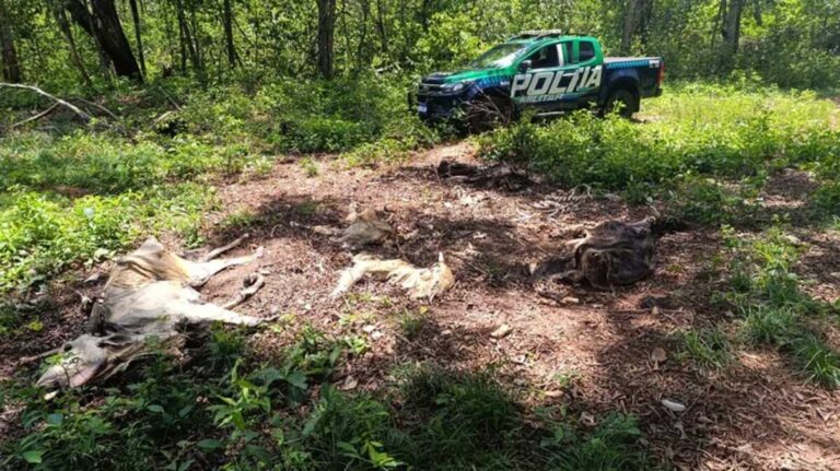 whatsapp-image-2025-11-06-at-143810